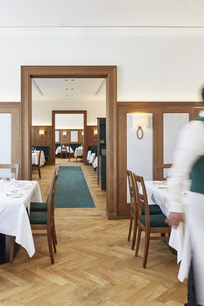 In einem Weinberg werden die Trauben in einer Schubkarre geerntet, umgeben von Reben und Laub.