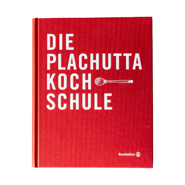 Carportkonstruktion aus Holz mit gefliestem Boden, Garten und Häusern im Hintergrund.