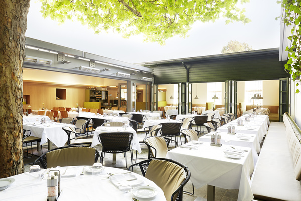 Helles Außenrestaurant mit weißen Tischtüchern, schwarzen Stühlen und einem großen Baum, der Schatten spendet.