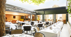 Outdoor restaurant with white tablecloths under a deciduous tree and natural light.