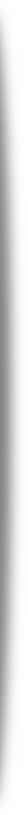 Vertikale schwarze Ovale mit sich überschneidenden Schatten, die in zwei Gruppen auf einem transparenten Hintergrund angeordnet sind.